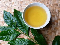 [ẢNH] Những cách giải rượu tại nhà nhanh chóng và hiệu quả nhất