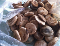 [ẢNH] Điểm mặt 10 