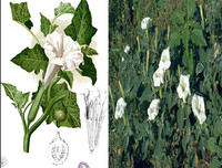 [ẢNH] Điểm mặt 10 