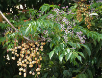 [ẢNH] Điểm mặt 10 