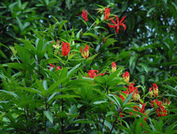 [ẢNH] Điểm mặt 10 