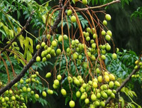 [ẢNH] Điểm mặt 10 