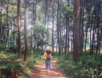 [ẢNH] 9 địa điểm du lịch ở Mộc Châu 