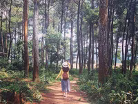 [ẢNH] 9 địa điểm du lịch ở Mộc Châu 