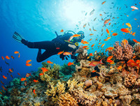 [ẢNH] Những hố sâu mang vẻ đẹp ấn tượng, hút khách nhất hành tinh