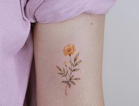 [ẢNH] Cân nhắc trước những tác hại có thể xảy ra khi xăm mình