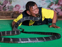 [ẢNH] Kỳ lạ ngôi làng Thái Lan, nơi người và rắn hổ mang là 