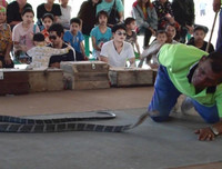 [ẢNH] Kỳ lạ ngôi làng Thái Lan, nơi người và rắn hổ mang là 