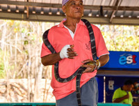 [ẢNH] Kỳ lạ ngôi làng Thái Lan, nơi người và rắn hổ mang là 