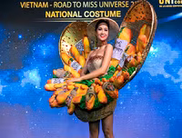Những trang phục dân tộc Việt Nam từng chinh chến tại Miss Universe