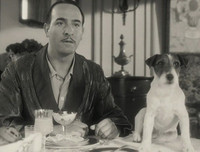 [ẢNH] Điểm danh những chú chó 