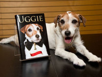 [ẢNH] Điểm danh những chú chó 