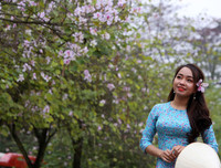 [ẢNH] Vẻ quyến rũ đến say đắm lòng người của hoa ban giữa lòng Thủ đô