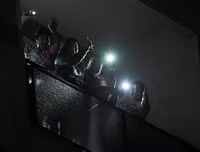 [ẢNH] Những khoảnh khắc đầy lạc quan của người dân thế giới giữa đại dịch Covid-19