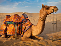 [ẢNH] Phương thức lây lan của virus corona mới và cách phòng ngừa virus corona tấn công