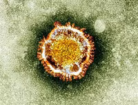 [ẢNH] Những phát hiện khoa học quan trọng của các nước về virus corona