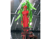 [ẢNH] Bật cười với 15 trang phục dân tộc 