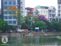 [Ảnh] Sắc phượng đỏ nở rợp trời Hà Nội, hàng trăm nghìn sĩ tử bước vào mùa thi