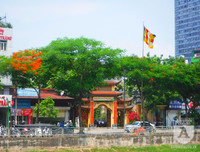 [Ảnh] Sắc phượng đỏ nở rợp trời Hà Nội, hàng trăm nghìn sĩ tử bước vào mùa thi