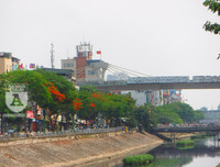 [Ảnh] Sắc phượng đỏ nở rợp trời Hà Nội, hàng trăm nghìn sĩ tử bước vào mùa thi