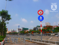 [Ảnh] Sắc phượng đỏ nở rợp trời Hà Nội, hàng trăm nghìn sĩ tử bước vào mùa thi