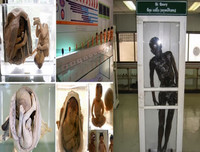 [ẢNH] Khám phá 10 bảo tàng kỳ lạ nhất hành tinh