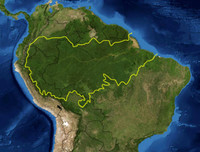 [Ảnh] Xót xa vẻ đẹp huyền bí của rừng rậm Amazon trước khi xảy cháy kinh hoàng