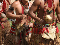 [Ảnh] Xót xa vẻ đẹp huyền bí của rừng rậm Amazon trước khi xảy cháy kinh hoàng