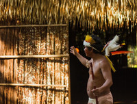 [Ảnh] Xót xa vẻ đẹp huyền bí của rừng rậm Amazon trước khi xảy cháy kinh hoàng