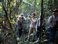 [Ảnh] Xót xa vẻ đẹp huyền bí của rừng rậm Amazon trước khi xảy cháy kinh hoàng