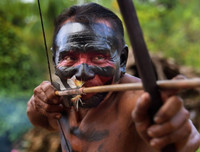 [Ảnh] Xót xa vẻ đẹp huyền bí của rừng rậm Amazon trước khi xảy cháy kinh hoàng