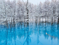 [ẢNH] Ngỡ ngàng trước những hồ nước thay đổi màu sắc kỳ diệu trên thế giới