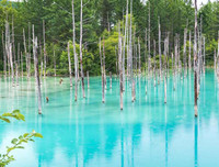 [ẢNH] Ngỡ ngàng trước những hồ nước thay đổi màu sắc kỳ diệu trên thế giới