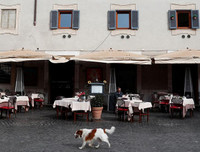 [ẢNH] Cuộc sống tại Italy sau lệnh phong tỏa toàn quốc do dịch Covid-19