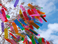 [ẢNH] Tanabata: Những điều thú vị về Lễ Thất tịch của người Nhật Bản