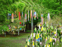 [ẢNH] Tanabata: Những điều thú vị về Lễ Thất tịch của người Nhật Bản