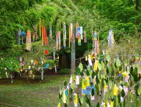 [ẢNH] Tanabata: Những điều thú vị về Lễ Thất tịch của người Nhật Bản