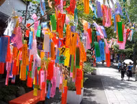 [ẢNH] Tanabata: Những điều thú vị về Lễ Thất tịch của người Nhật Bản