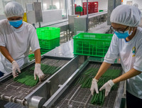 [ẢNH] Xuất hiện các kiểu ống hút ‘dị’ có thể bạn chưa từng dùng