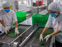 [ẢNH] Xuất hiện các kiểu ống hút ‘dị’ có thể bạn chưa từng dùng