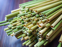 [ẢNH] Xuất hiện các kiểu ống hút ‘dị’ có thể bạn chưa từng dùng