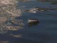 [ẢNH] Rác thải nhựa bủa vây, các đại dương đang kêu cứu