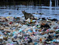 [ẢNH] Rác thải nhựa bủa vây, các đại dương đang kêu cứu