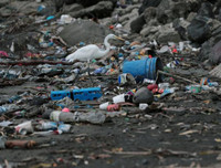 [ẢNH] Rác thải nhựa bủa vây, các đại dương đang kêu cứu