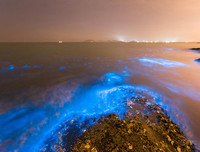 [ẢNH] Vẻ đẹp huyền diệu của những bãi biển tự phát sáng trong đêm