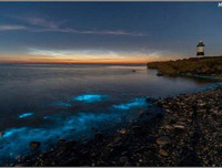 [ẢNH] Vẻ đẹp huyền diệu của những bãi biển tự phát sáng trong đêm