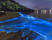 [ẢNH] Vẻ đẹp huyền diệu của những bãi biển tự phát sáng trong đêm