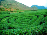 Những địa điểm du lịch tuyệt vời cho kỳ nghỉ lễ 10-3 âm lịch