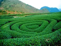 Những địa điểm du lịch tuyệt vời cho kỳ nghỉ lễ 10-3 âm lịch