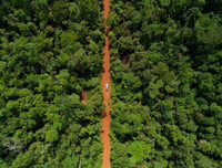 [Ảnh] Xót xa vẻ đẹp huyền bí của rừng rậm Amazon trước khi xảy cháy kinh hoàng